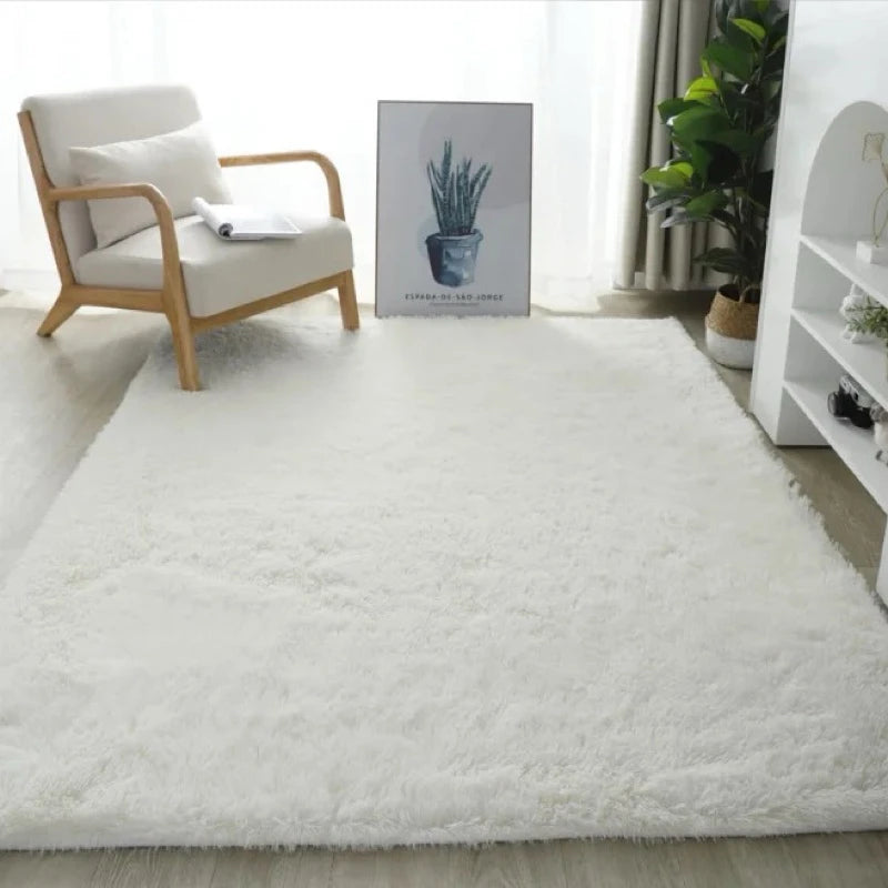 VIKAMA Luxury Long Velvet Carpet Soft Anti slip Plush Floor Mat Bedroom Living Room Warm Home Decoration Carpet